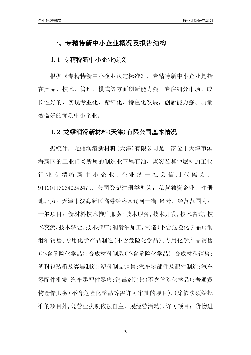 [专精特新]龙蟠润滑新材料(天津)有限公司行业竞争力评级分析报告(2023版)_第3页