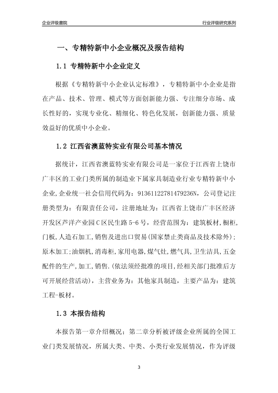 [专精特新]江西省澳蓝特实业有限公司行业竞争力评级分析报告(2023版)_第3页