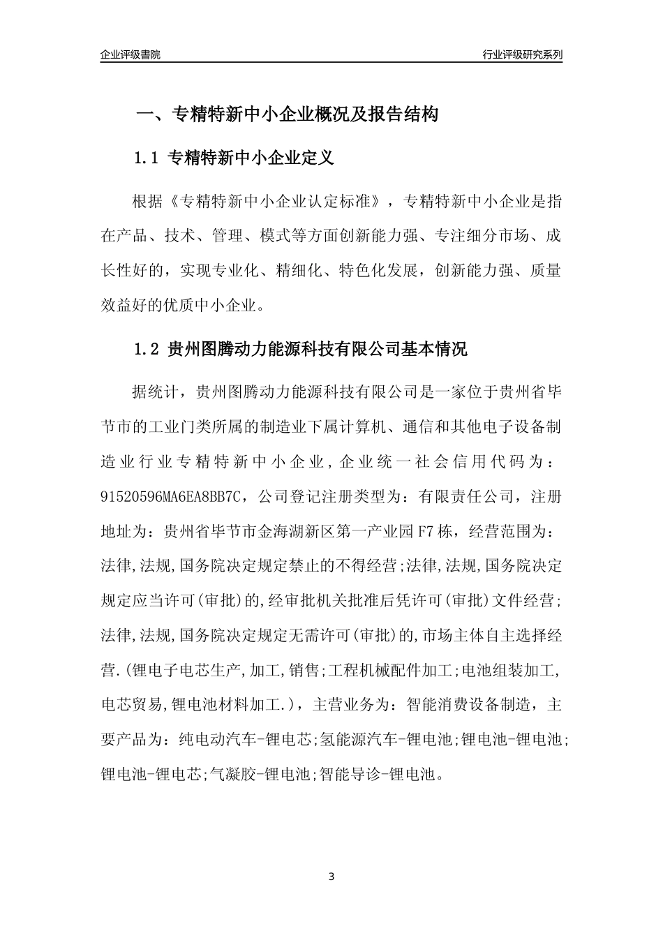 [专精特新]贵州图腾动力能源科技有限公司行业竞争力评级分析报告(2023版)_第3页