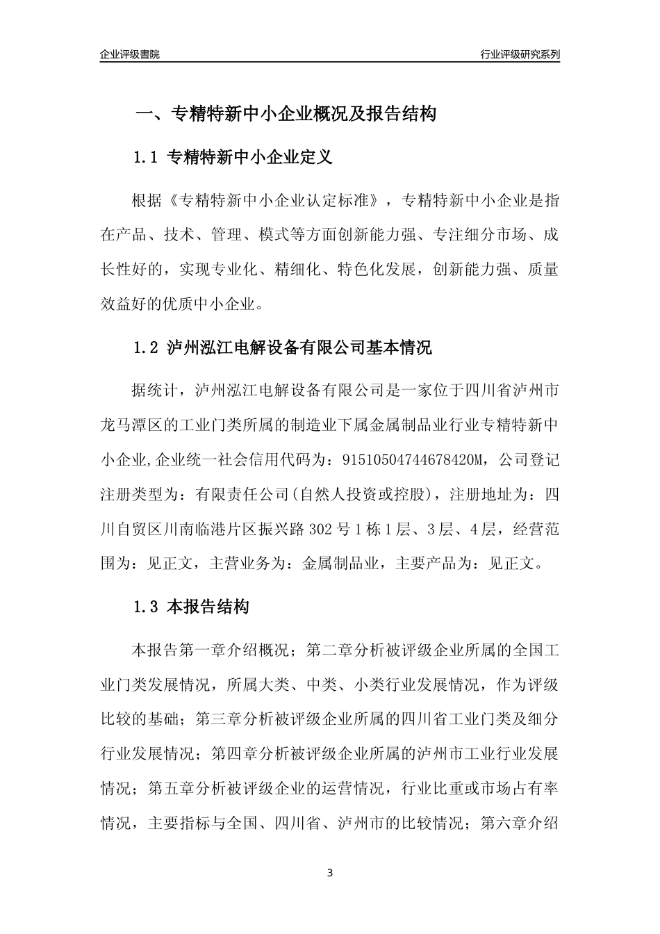 [专精特新]泸州泓江电解设备有限公司行业竞争力评级分析报告(2023版)_第3页