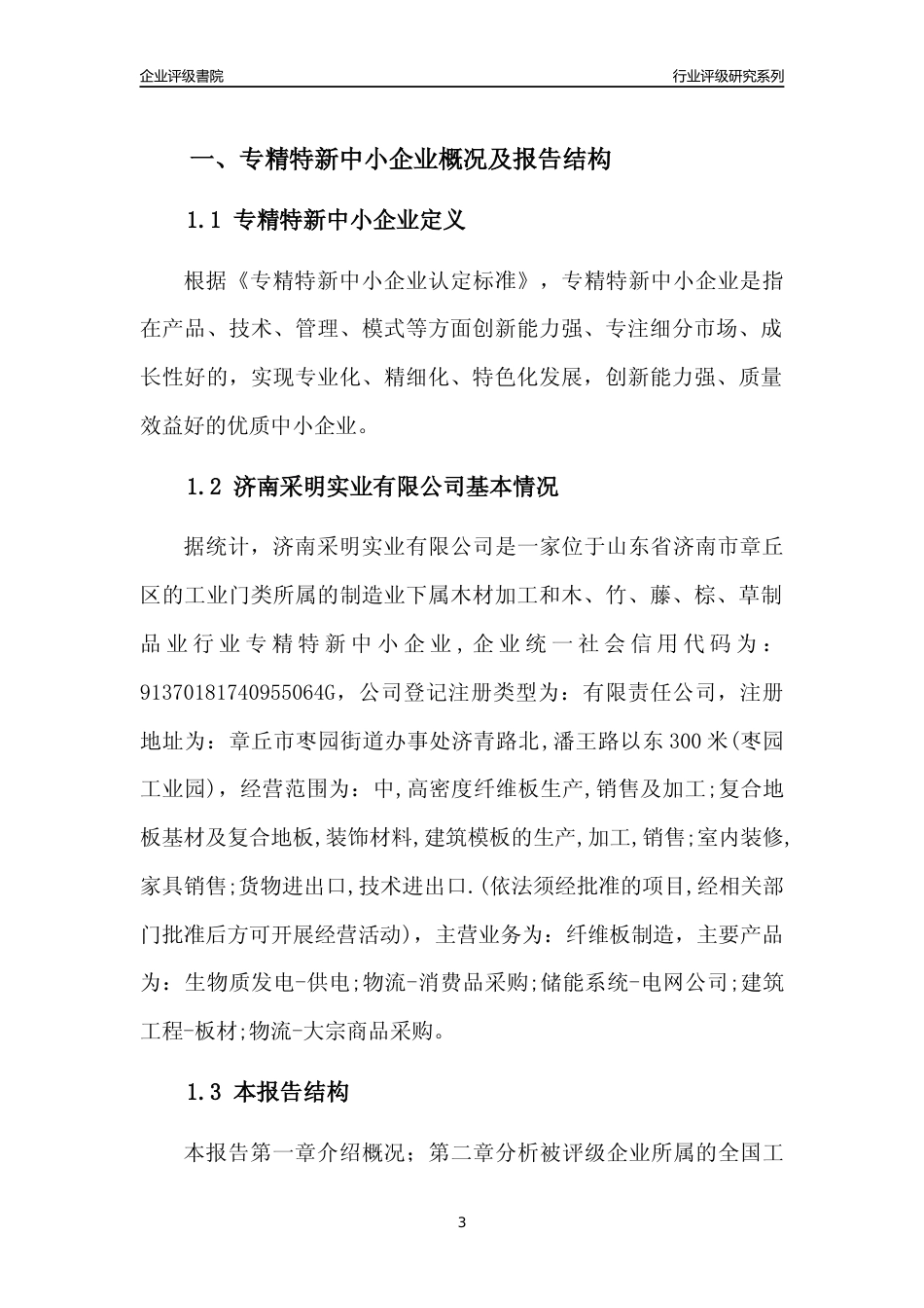 [专精特新]济南采明实业有限公司行业竞争力评级分析报告(2023版)_第3页