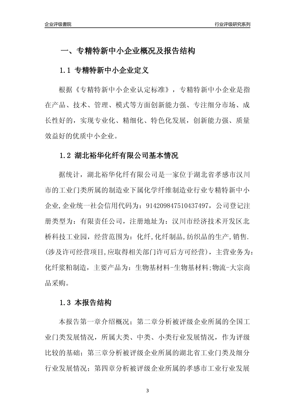 [专精特新]湖北裕华化纤有限公司行业竞争力评级分析报告(2023版)_第3页