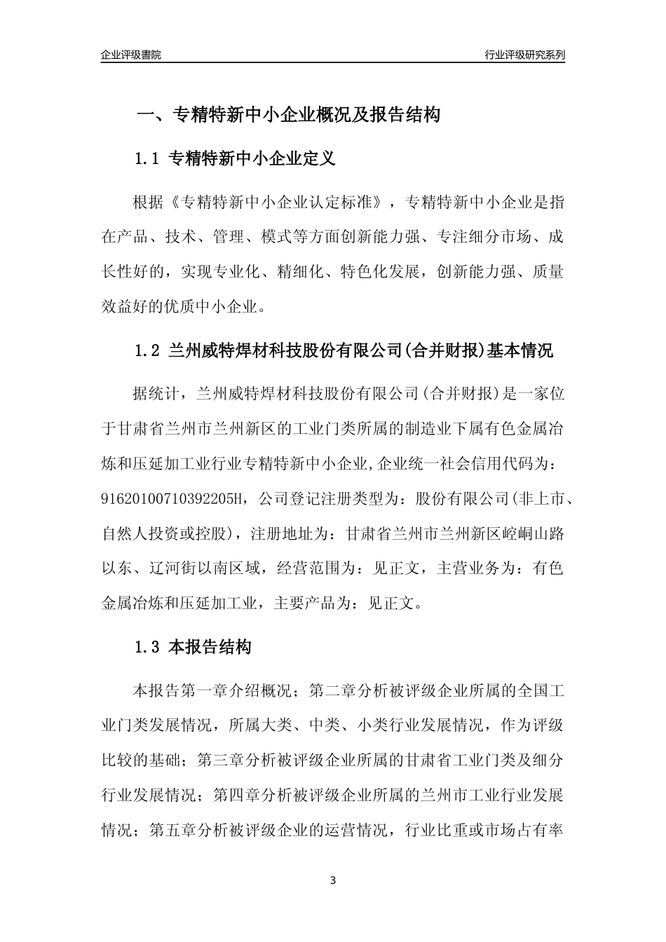 [专精特新]兰州威特焊材科技股份有限公司(合并财报)行业竞争力评级分析报告(2023版)_第3页