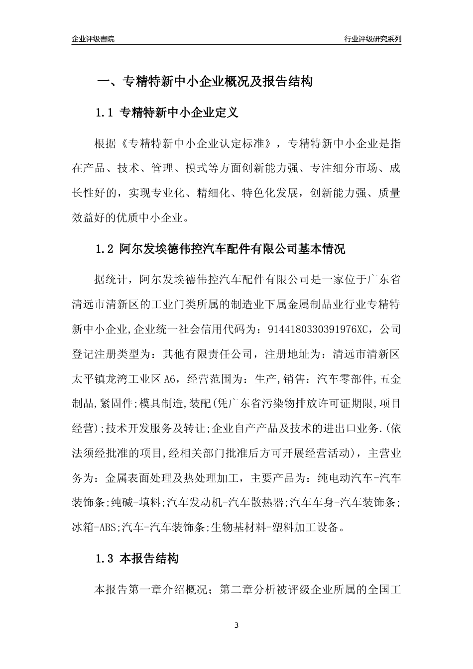 [专精特新]阿尔发埃德伟控汽车配件有限公司行业竞争力评级分析报告(2023版)_第3页