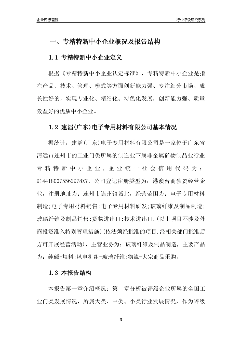 [专精特新]建滔(广东)电子专用材料有限公司行业竞争力评级分析报告(2023版)_第3页