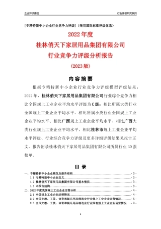 [专精特新]桂林俏天下家居用品集团有限公司行业竞争力评级分析报告(2023版)