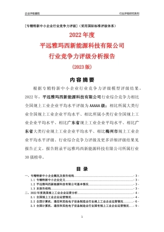 [专精特新]平远雅玛西新能源科技有限公司行业竞争力评级分析报告(2023版)