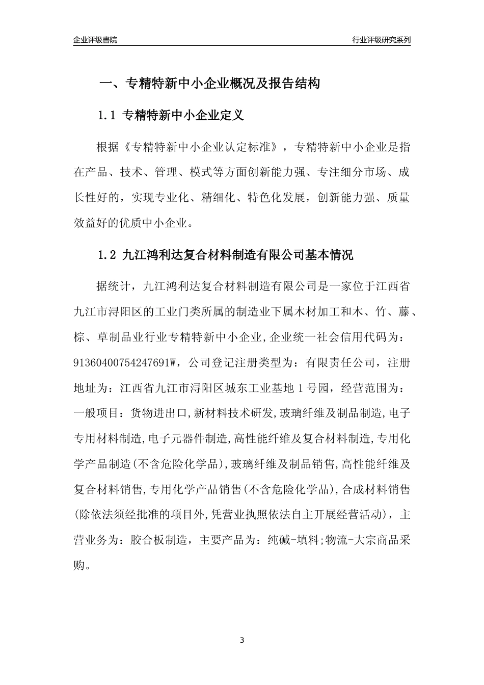 [专精特新]九江鸿利达复合材料制造有限公司行业竞争力评级分析报告(2023版)_第3页