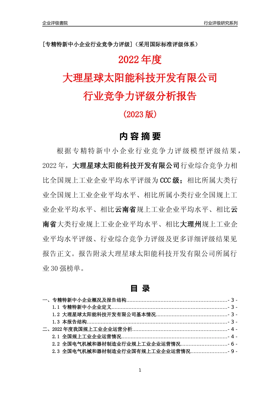 [专精特新]大理星球太阳能科技开发有限公司行业竞争力评级分析报告(2023版)_第1页