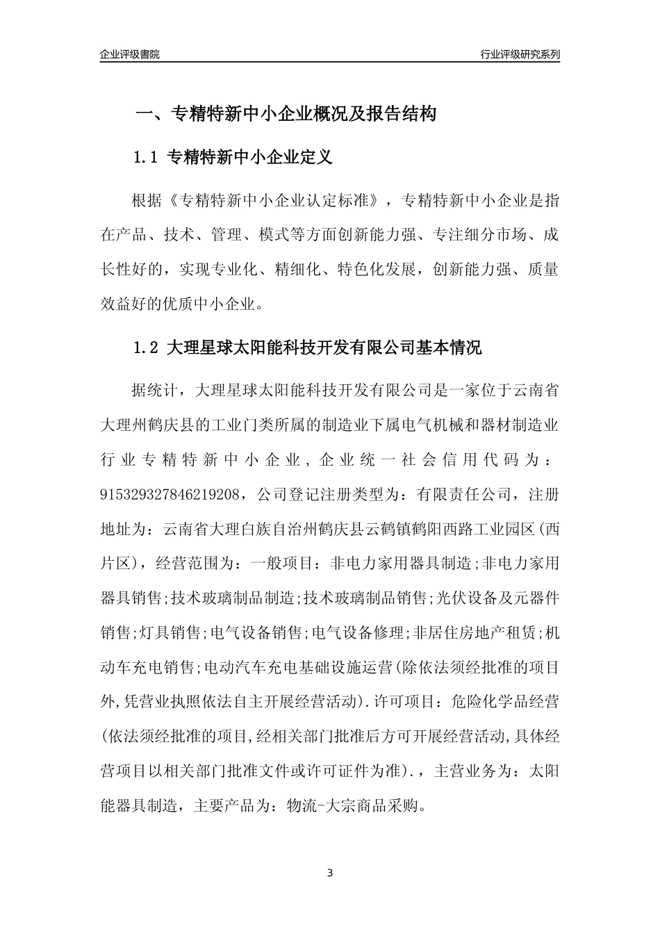 [专精特新]大理星球太阳能科技开发有限公司行业竞争力评级分析报告(2023版)_第3页