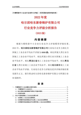 [专精特新]哈尔滨哈东新春锅炉有限公司行业竞争力评级分析报告(2023版)