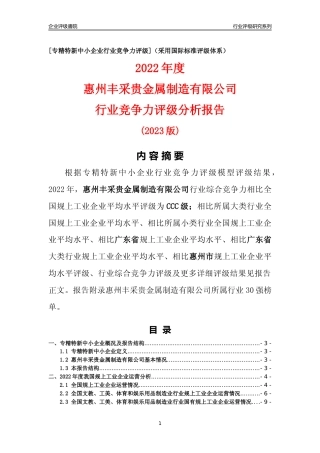 [专精特新]惠州丰采贵金属制造有限公司行业竞争力评级分析报告(2023版)