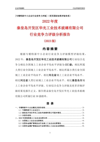 [专精特新]秦皇岛开发区华光工业技术玻璃有限公司行业竞争力评级分析报告(2023版)