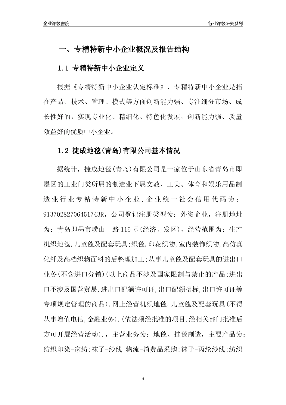 [专精特新]捷成地毯(青岛)有限公司行业竞争力评级分析报告(2023版)_第3页