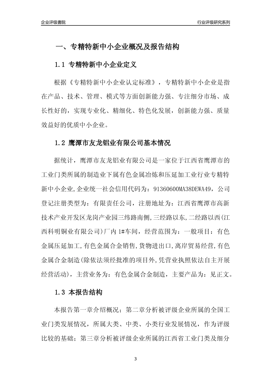 [专精特新]鹰潭市友龙铝业有限公司行业竞争力评级分析报告(2023版)_第3页