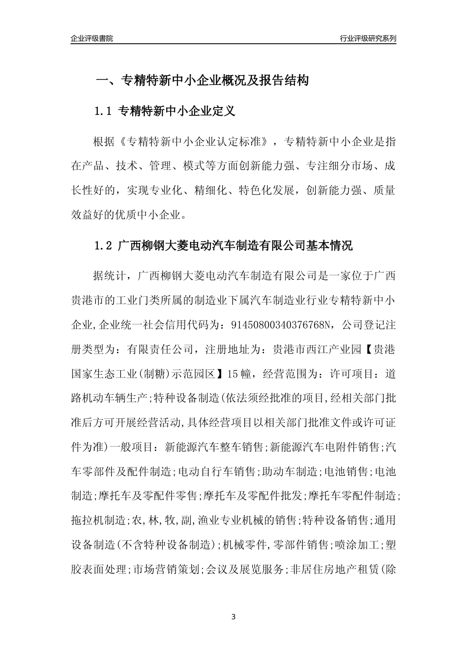 [专精特新]广西柳钢大菱电动汽车制造有限公司行业竞争力评级分析报告(2023版)_第3页