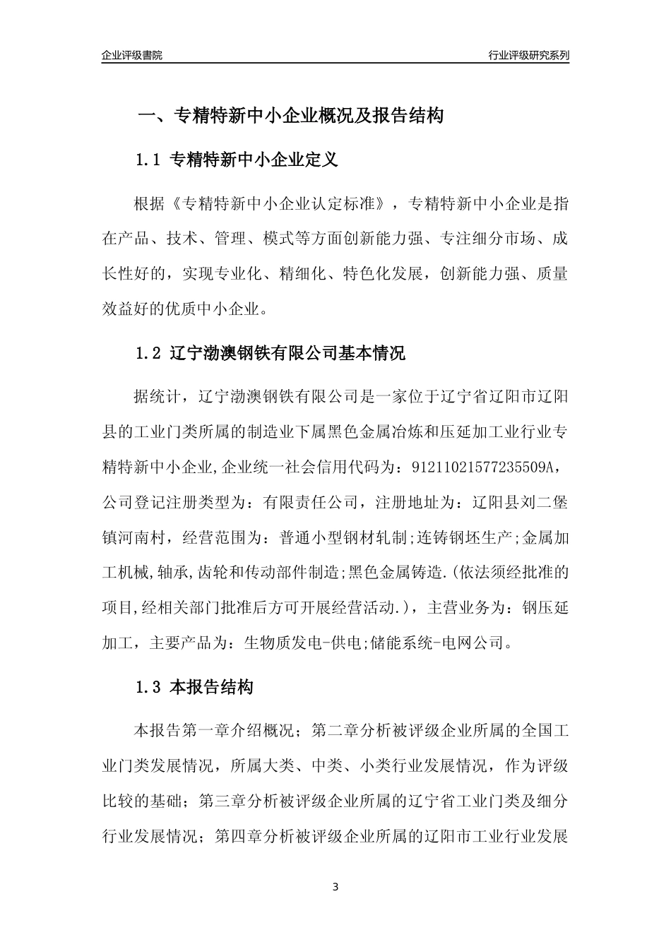 [专精特新]辽宁渤澳钢铁有限公司行业竞争力评级分析报告(2023版)_第3页