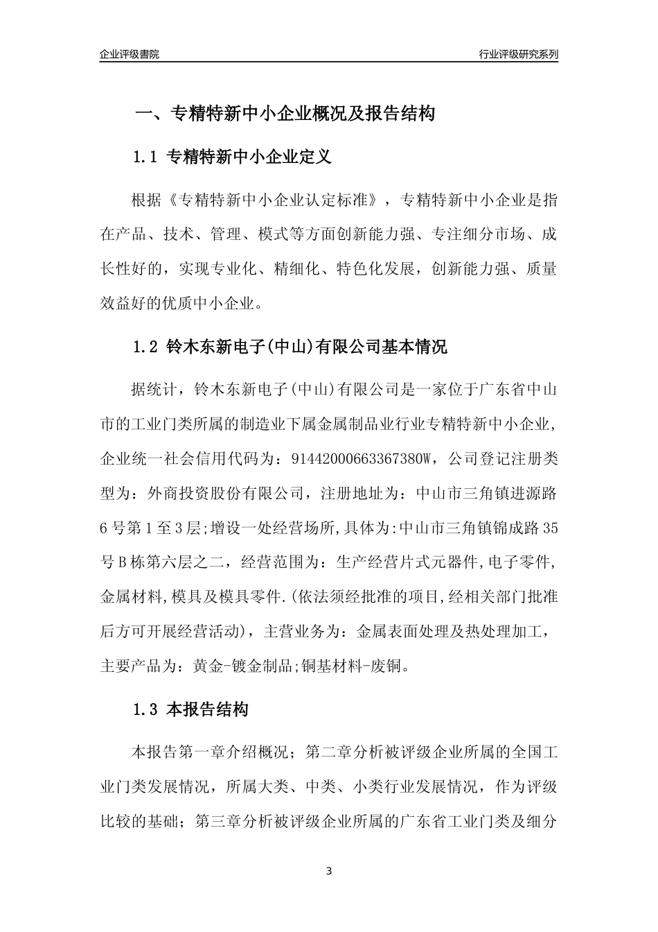 [专精特新]铃木东新电子(中山)有限公司行业竞争力评级分析报告(2023版)_第3页