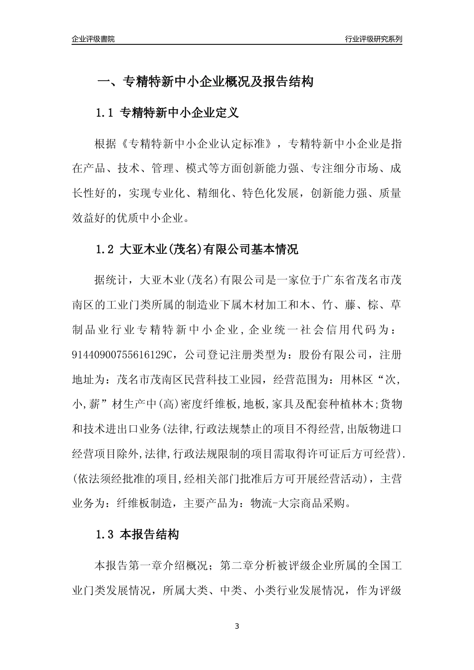 [专精特新]大亚木业(茂名)有限公司行业竞争力评级分析报告(2023版)_第3页