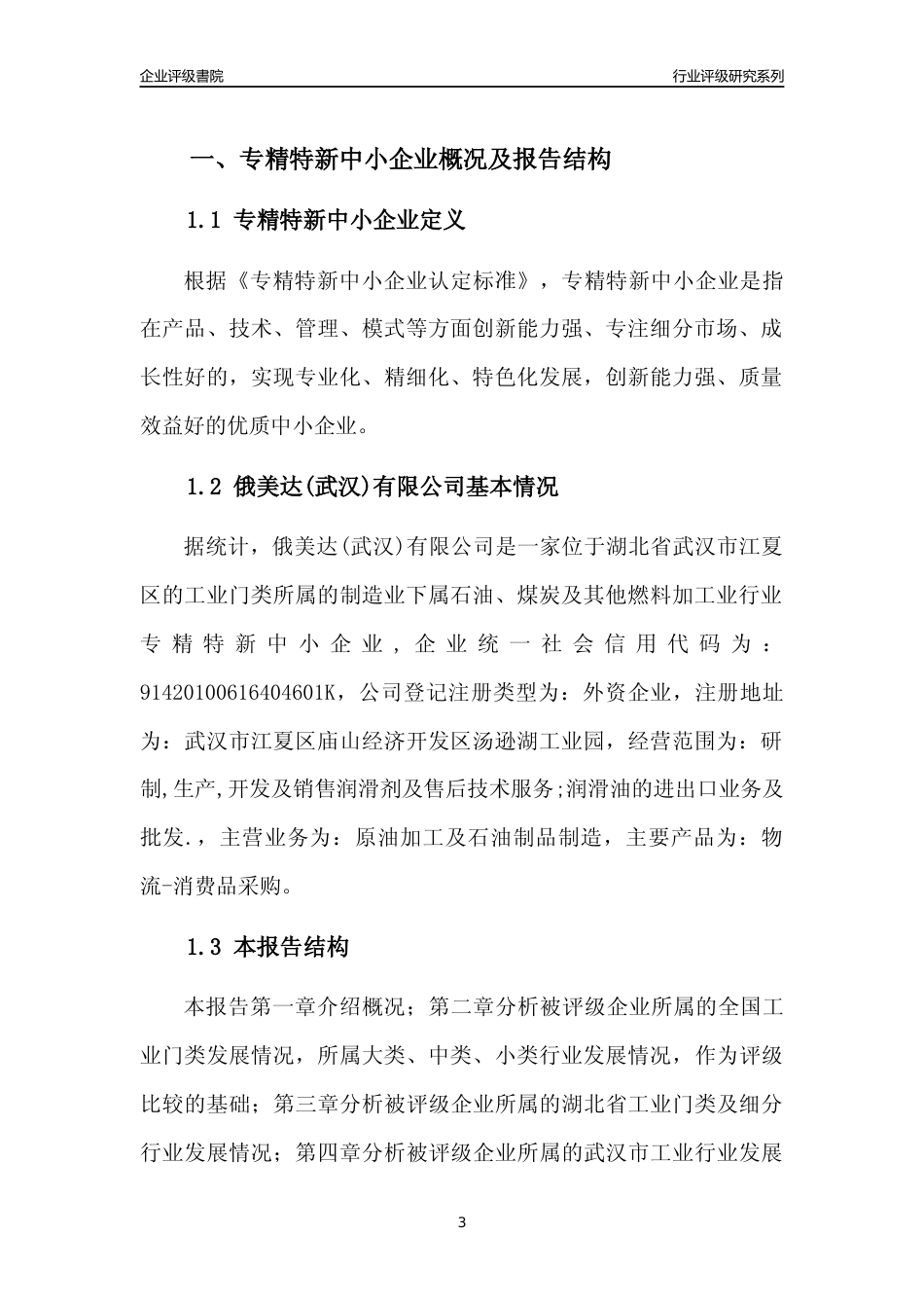 [专精特新]俄美达(武汉)有限公司行业竞争力评级分析报告(2023版)_第3页