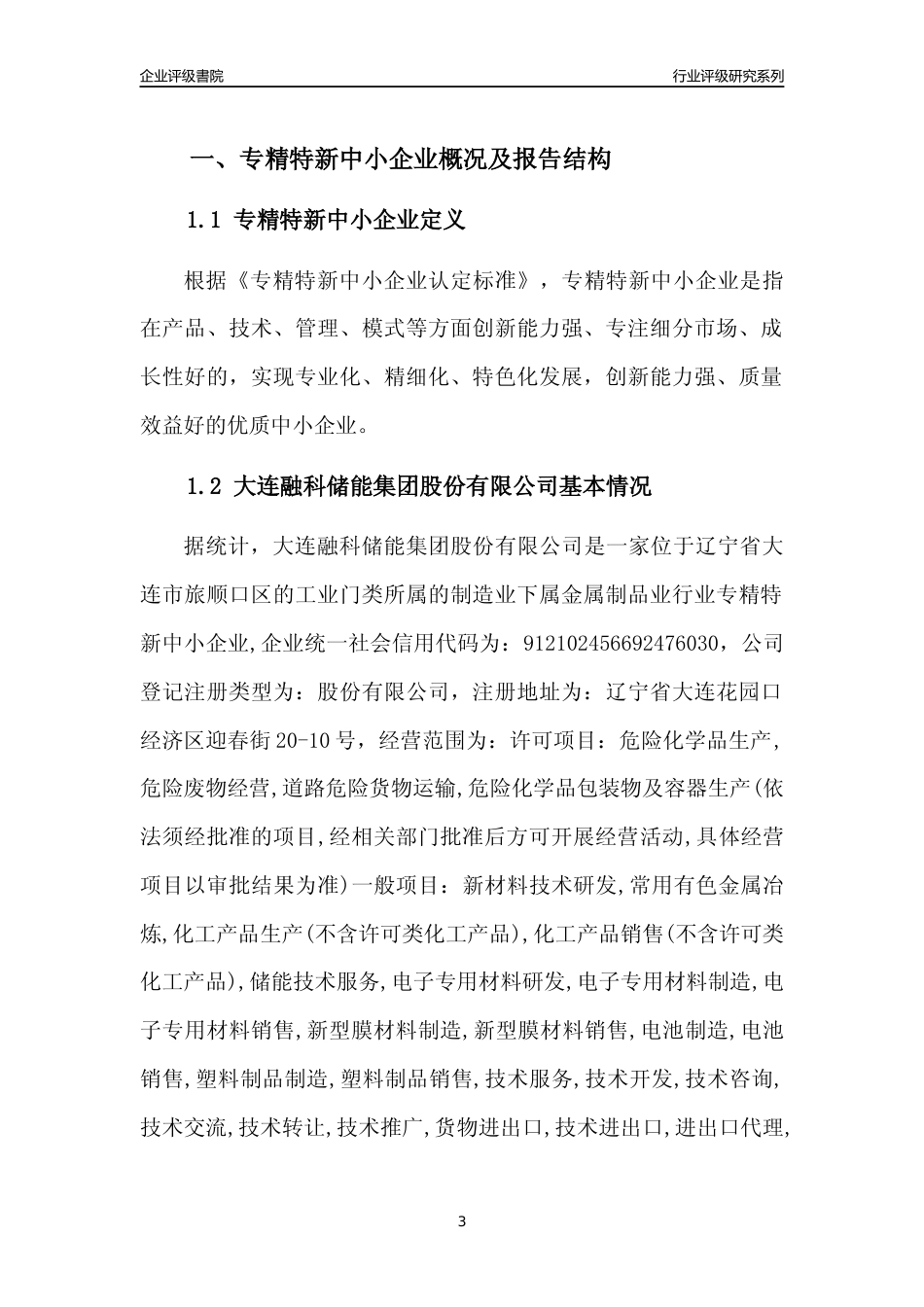 [专精特新]大连融科储能集团股份有限公司行业竞争力评级分析报告(2023版)_第3页