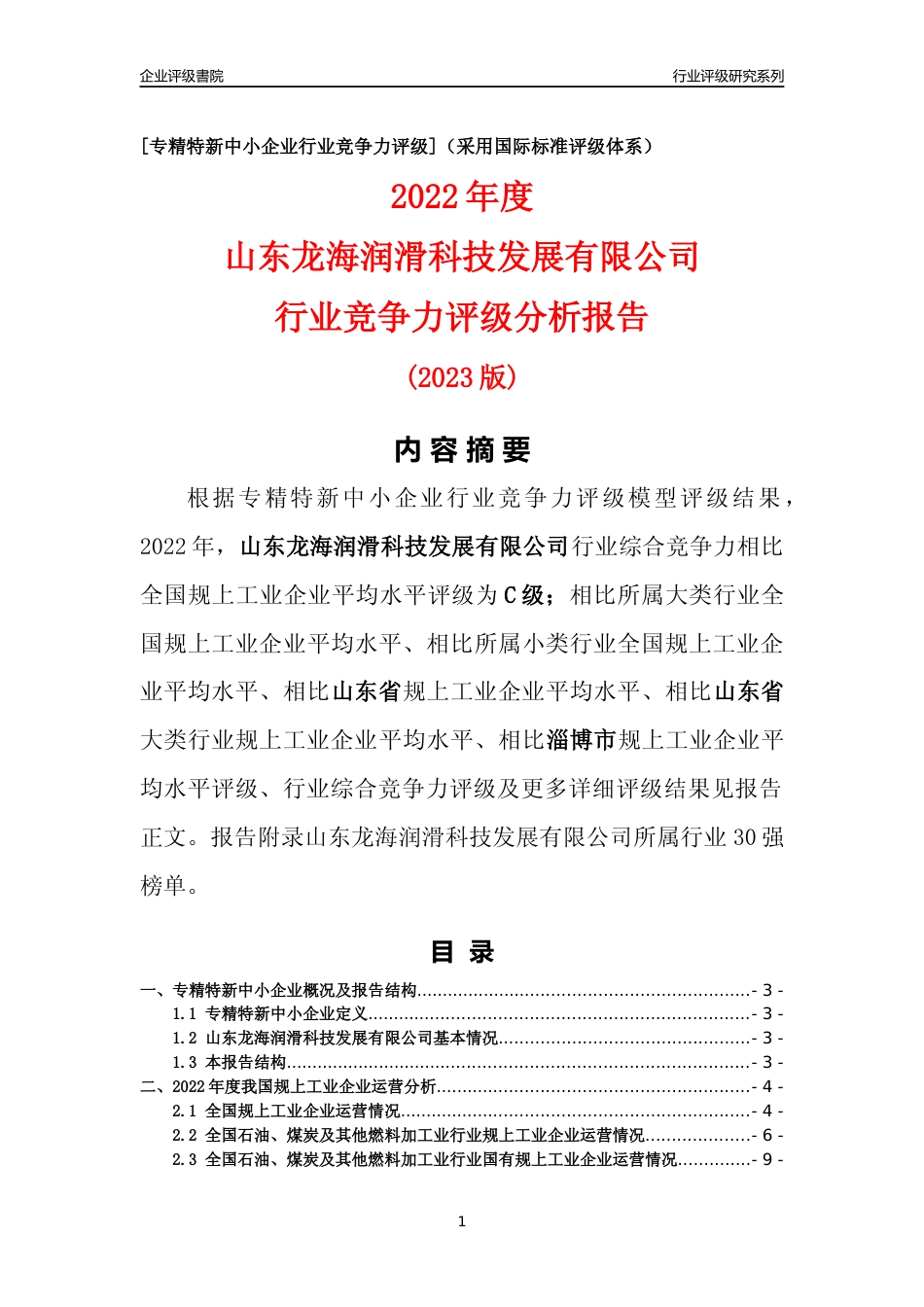 [专精特新]山东龙海润滑科技发展有限公司行业竞争力评级分析报告(2023版)_第1页