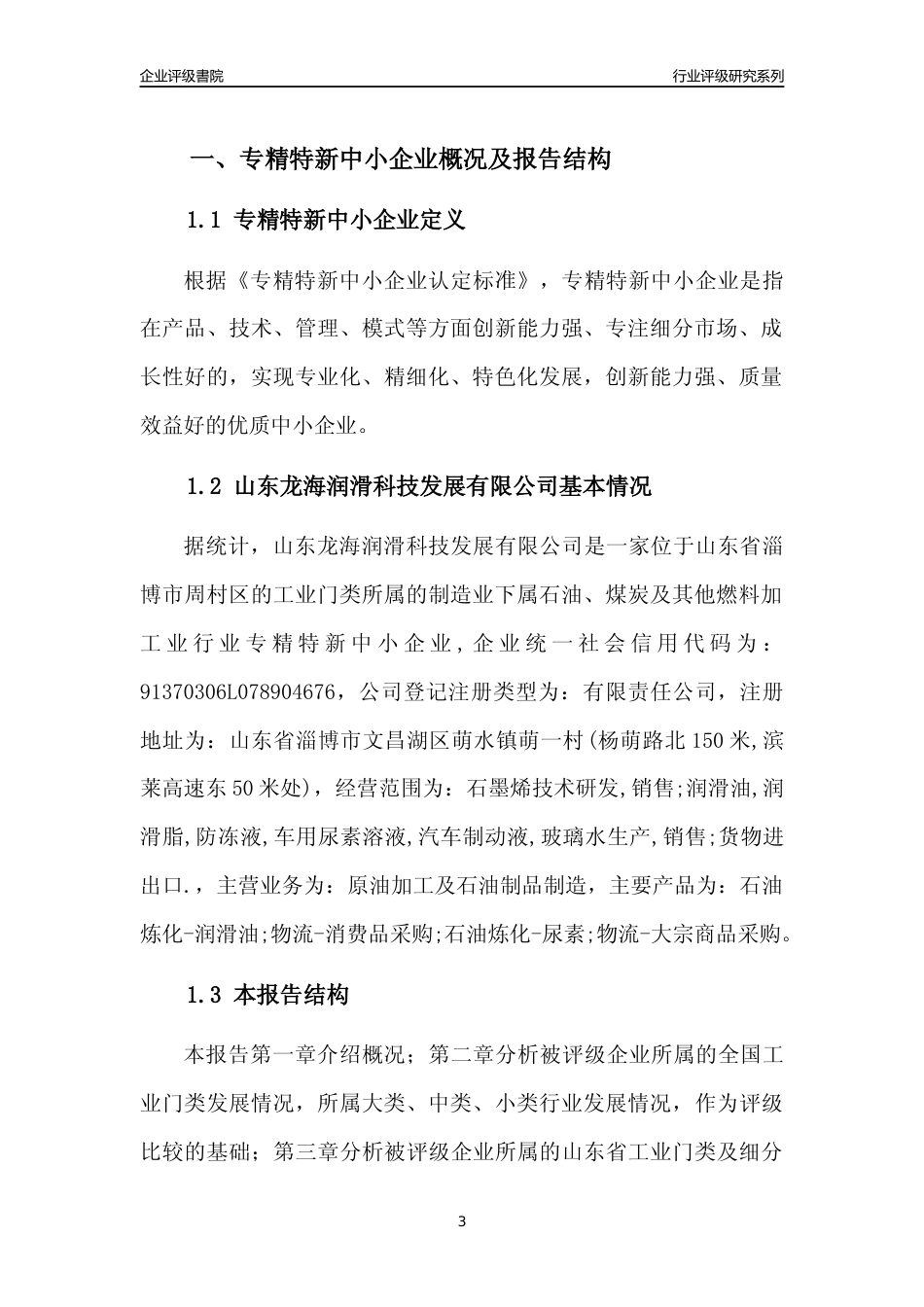 [专精特新]山东龙海润滑科技发展有限公司行业竞争力评级分析报告(2023版)_第3页