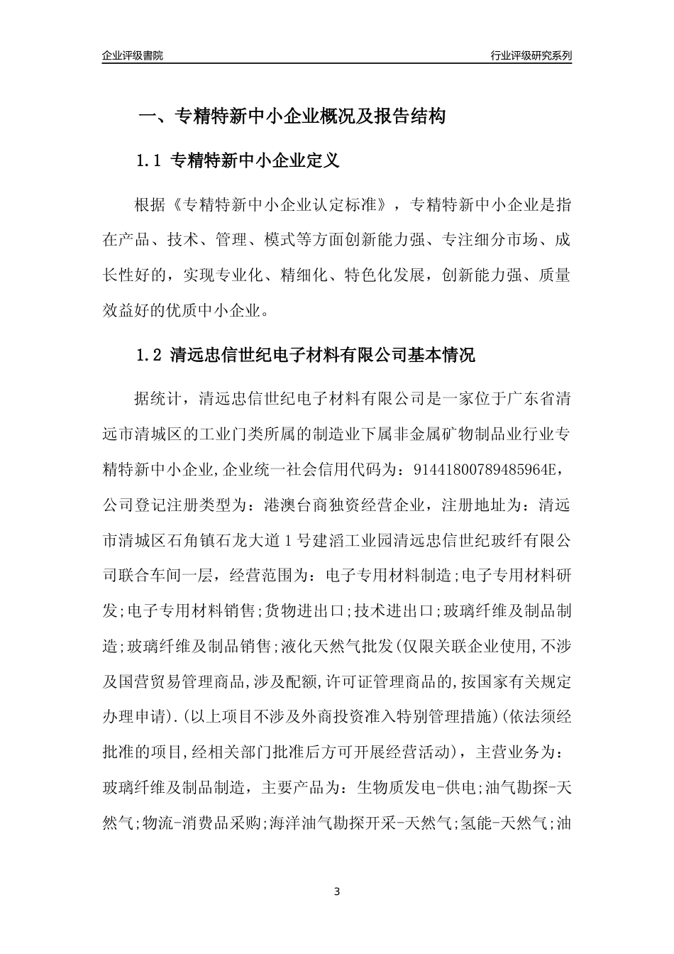 [专精特新]清远忠信世纪电子材料有限公司行业竞争力评级分析报告(2023版)_第3页