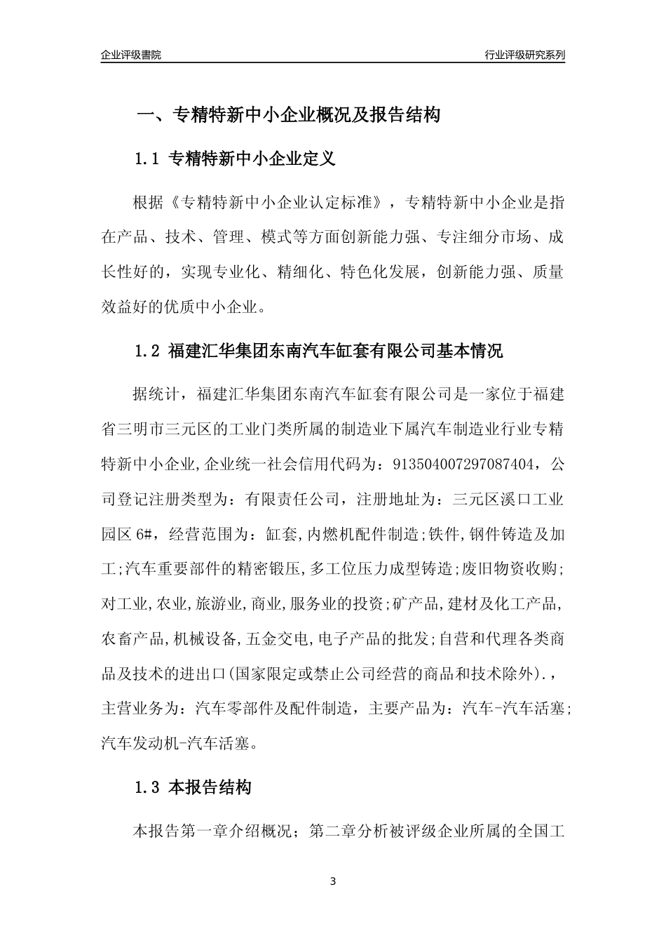 [专精特新]福建汇华集团东南汽车缸套有限公司行业竞争力评级分析报告(2023版)_第3页