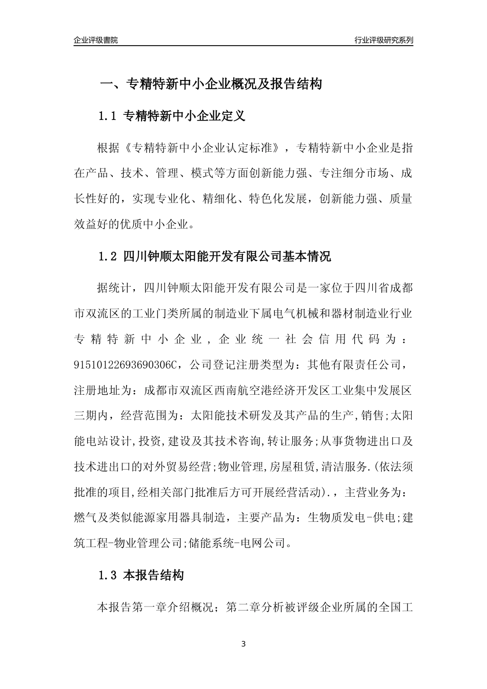 [专精特新]四川钟顺太阳能开发有限公司行业竞争力评级分析报告(2023版)_第3页