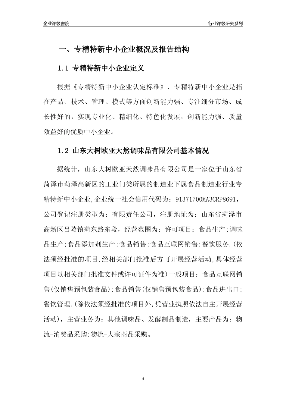 [专精特新]山东大树欧亚天然调味品有限公司行业竞争力评级分析报告(2023版)_第3页
