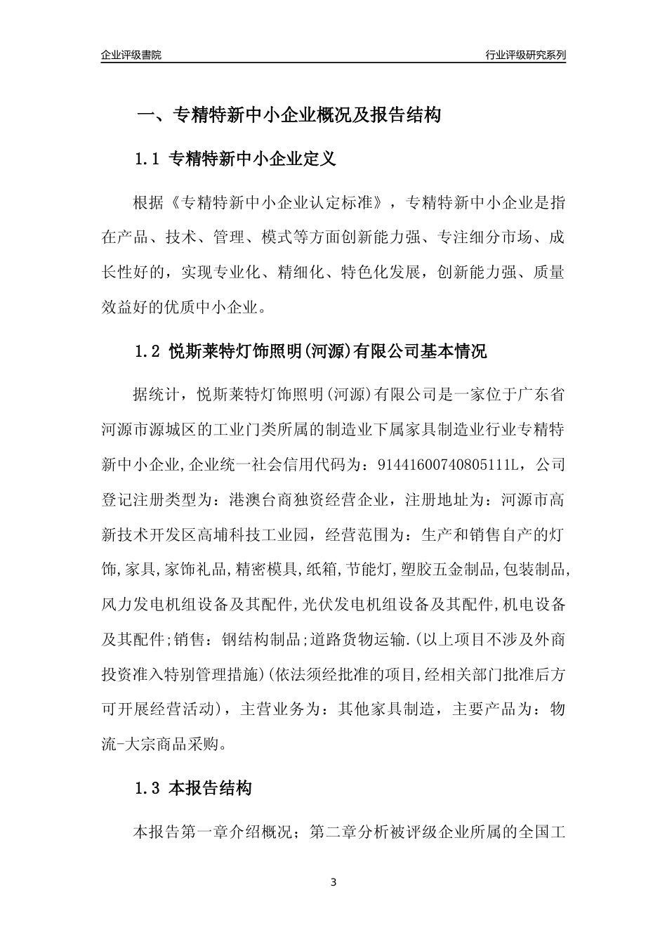 [专精特新]悦斯莱特灯饰照明(河源)有限公司行业竞争力评级分析报告(2023版)_第3页