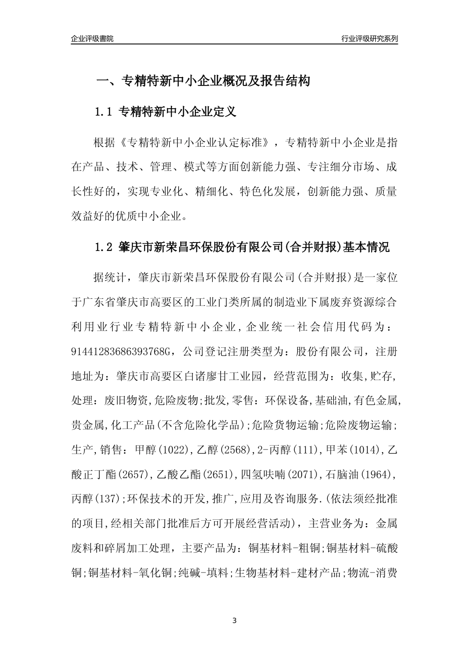 [专精特新]肇庆市新荣昌环保股份有限公司(合并财报)行业竞争力评级分析报告(2023版)_第3页