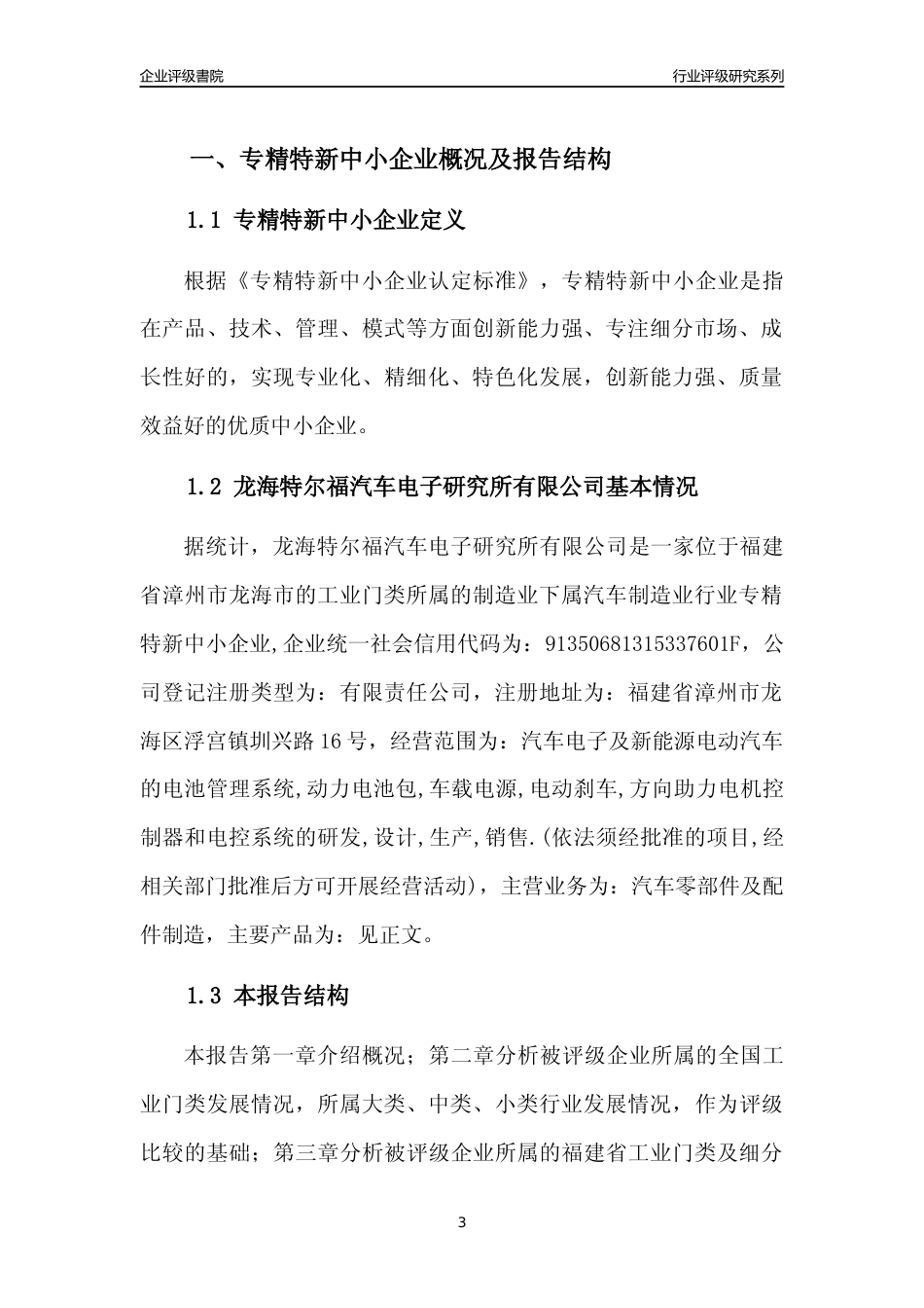 [专精特新]龙海特尔福汽车电子研究所有限公司行业竞争力评级分析报告(2023版)_第3页