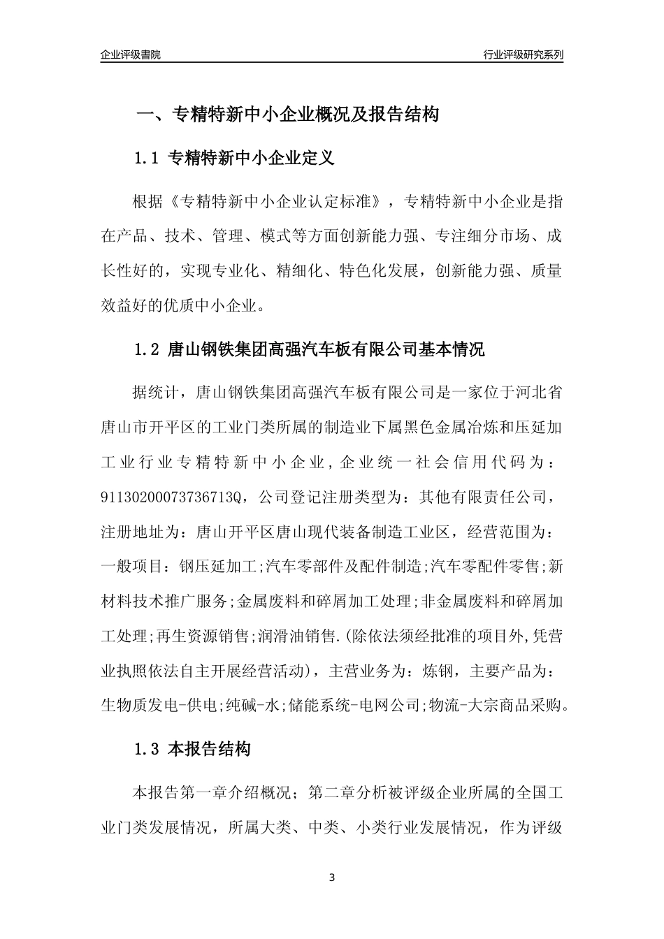 [专精特新]唐山钢铁集团高强汽车板有限公司行业竞争力评级分析报告(2023版)_第3页