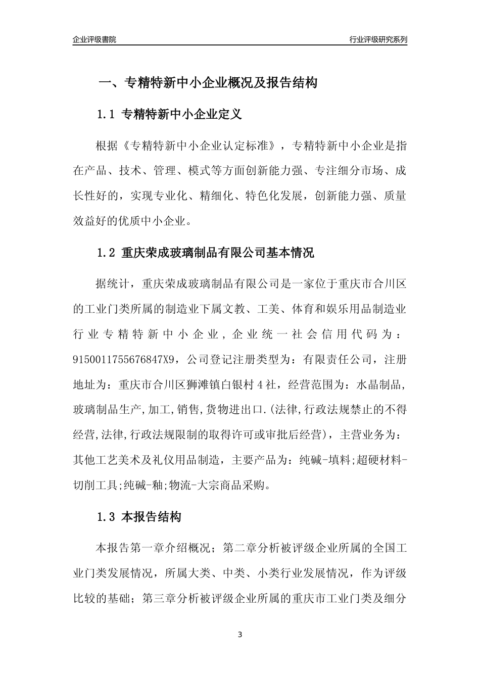 [专精特新]重庆荣成玻璃制品有限公司行业竞争力评级分析报告(2023版)_第3页