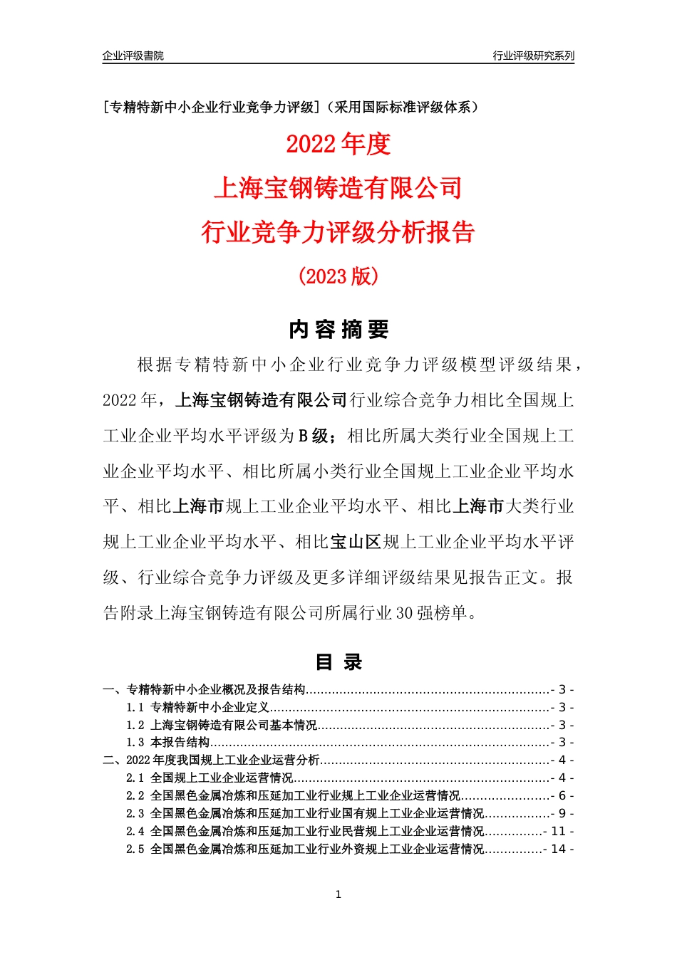 [专精特新]上海宝钢铸造有限公司行业竞争力评级分析报告(2023版)_第1页