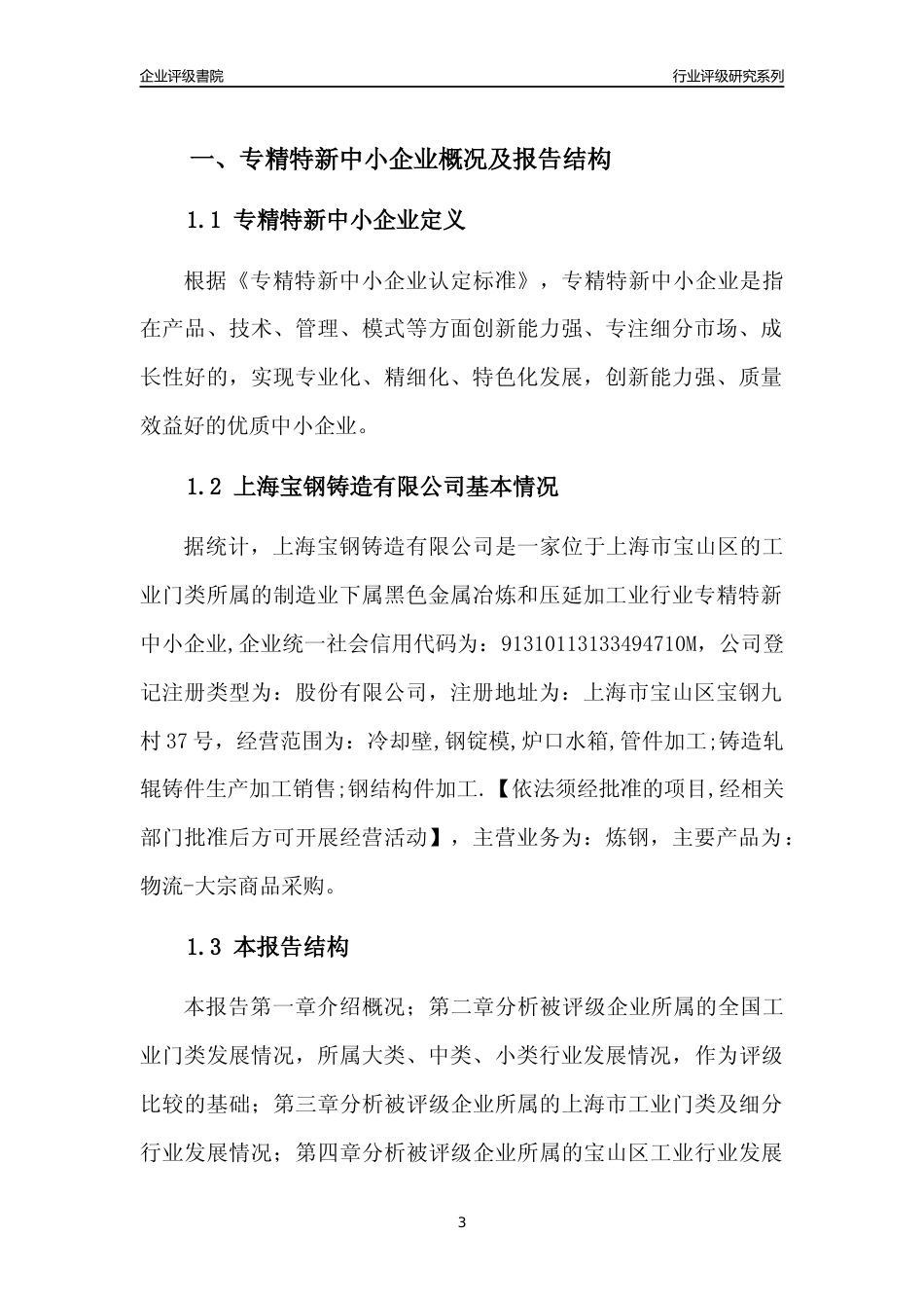 [专精特新]上海宝钢铸造有限公司行业竞争力评级分析报告(2023版)_第3页