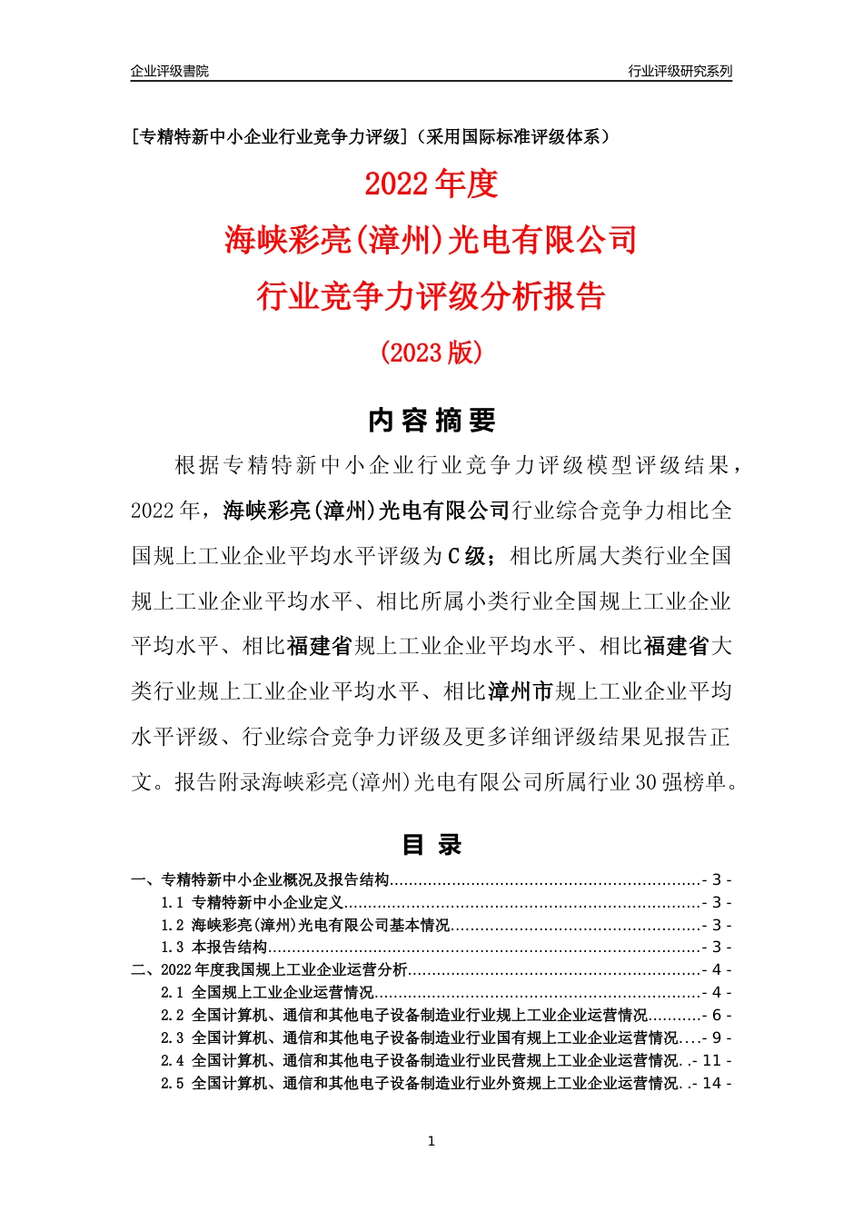 [专精特新]海峡彩亮(漳州)光电有限公司行业竞争力评级分析报告(2023版)_第1页