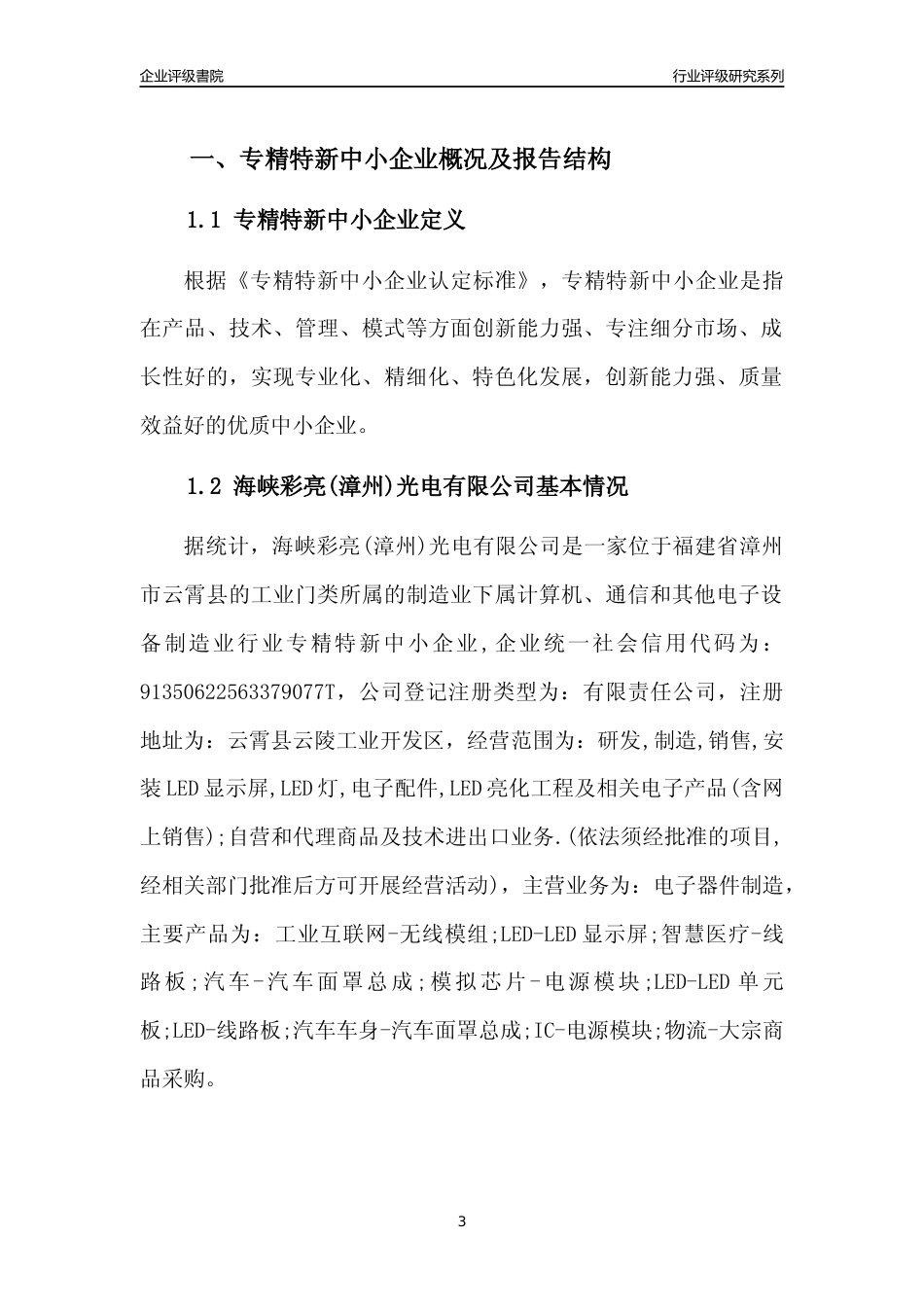 [专精特新]海峡彩亮(漳州)光电有限公司行业竞争力评级分析报告(2023版)_第3页