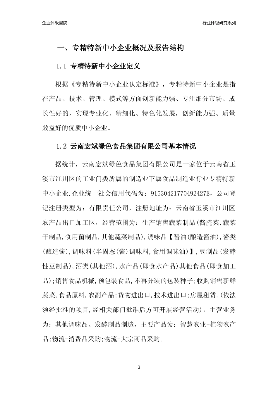 [专精特新]云南宏斌绿色食品集团有限公司行业竞争力评级分析报告(2023版)_第3页