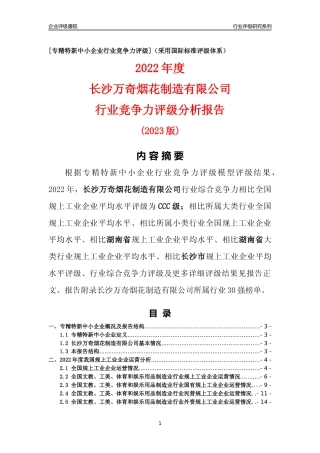 [专精特新]长沙万奇烟花制造有限公司行业竞争力评级分析报告(2023版)