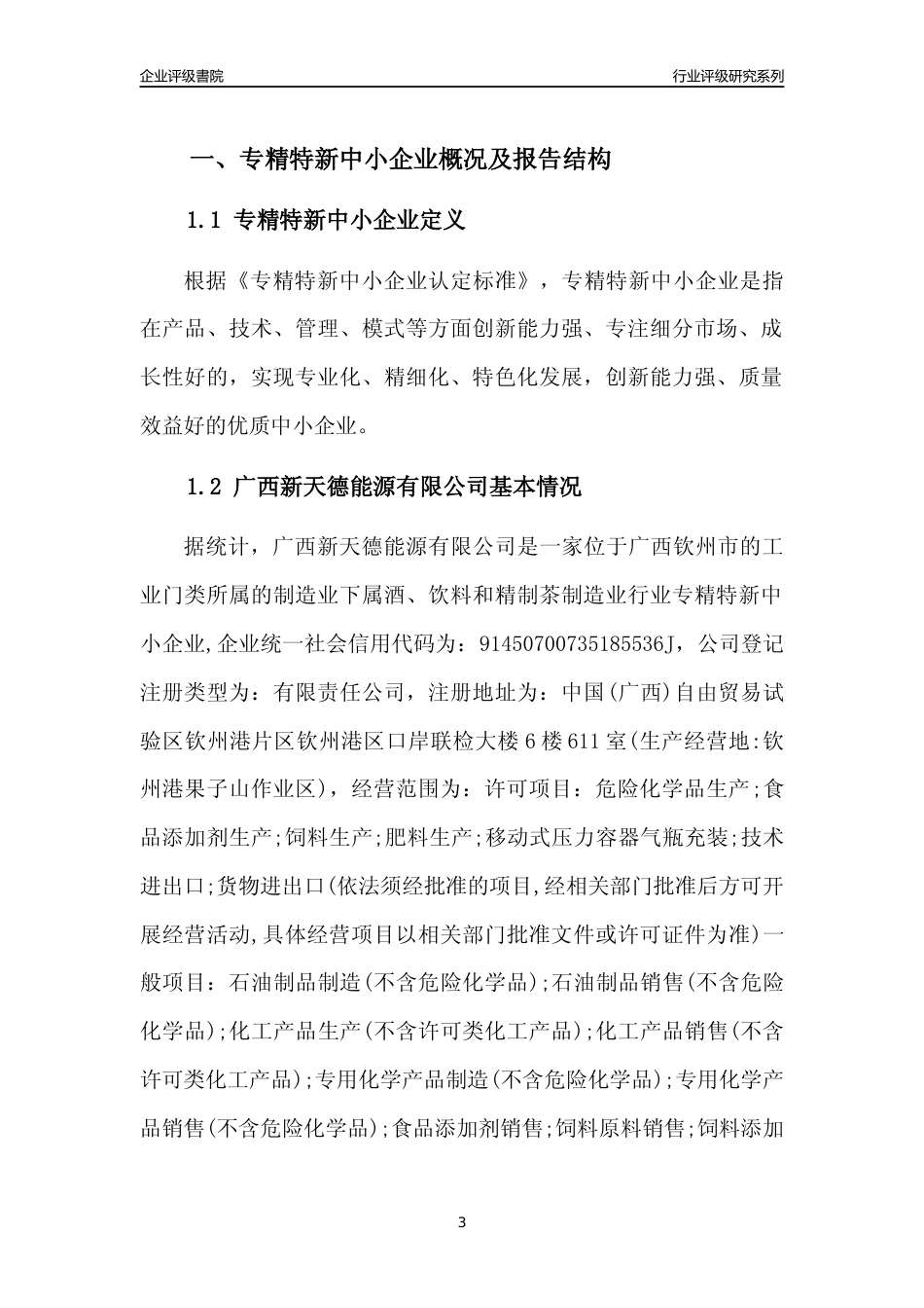 [专精特新]广西新天德能源有限公司行业竞争力评级分析报告(2023版)_第3页