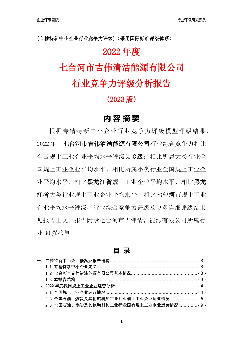 [专精特新]七台河市吉伟清洁能源有限公司行业竞争力评级分析报告(2023版)_第1页