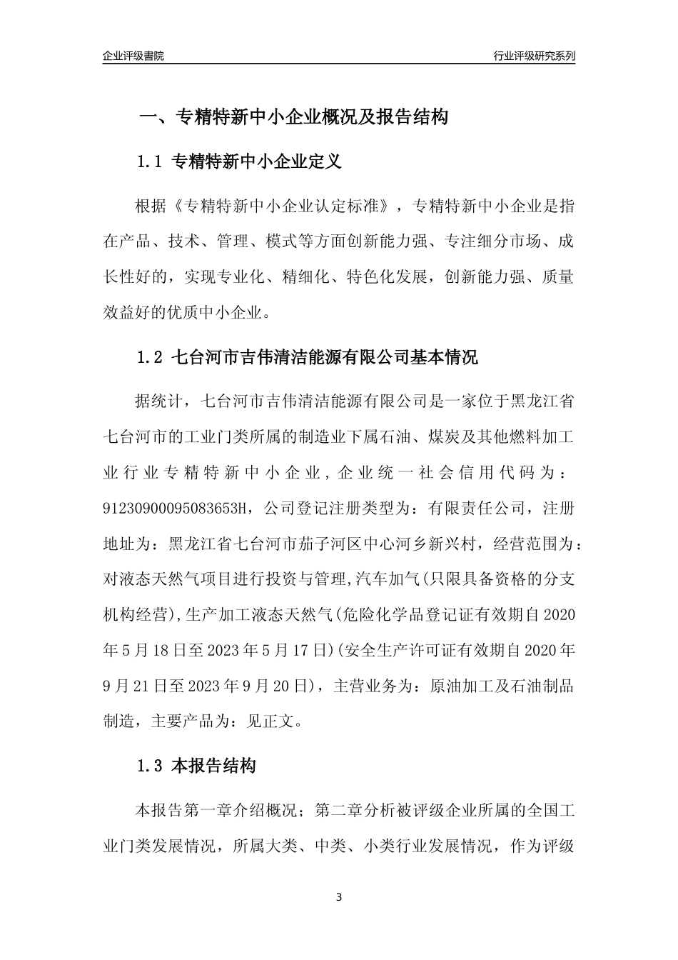 [专精特新]七台河市吉伟清洁能源有限公司行业竞争力评级分析报告(2023版)_第3页