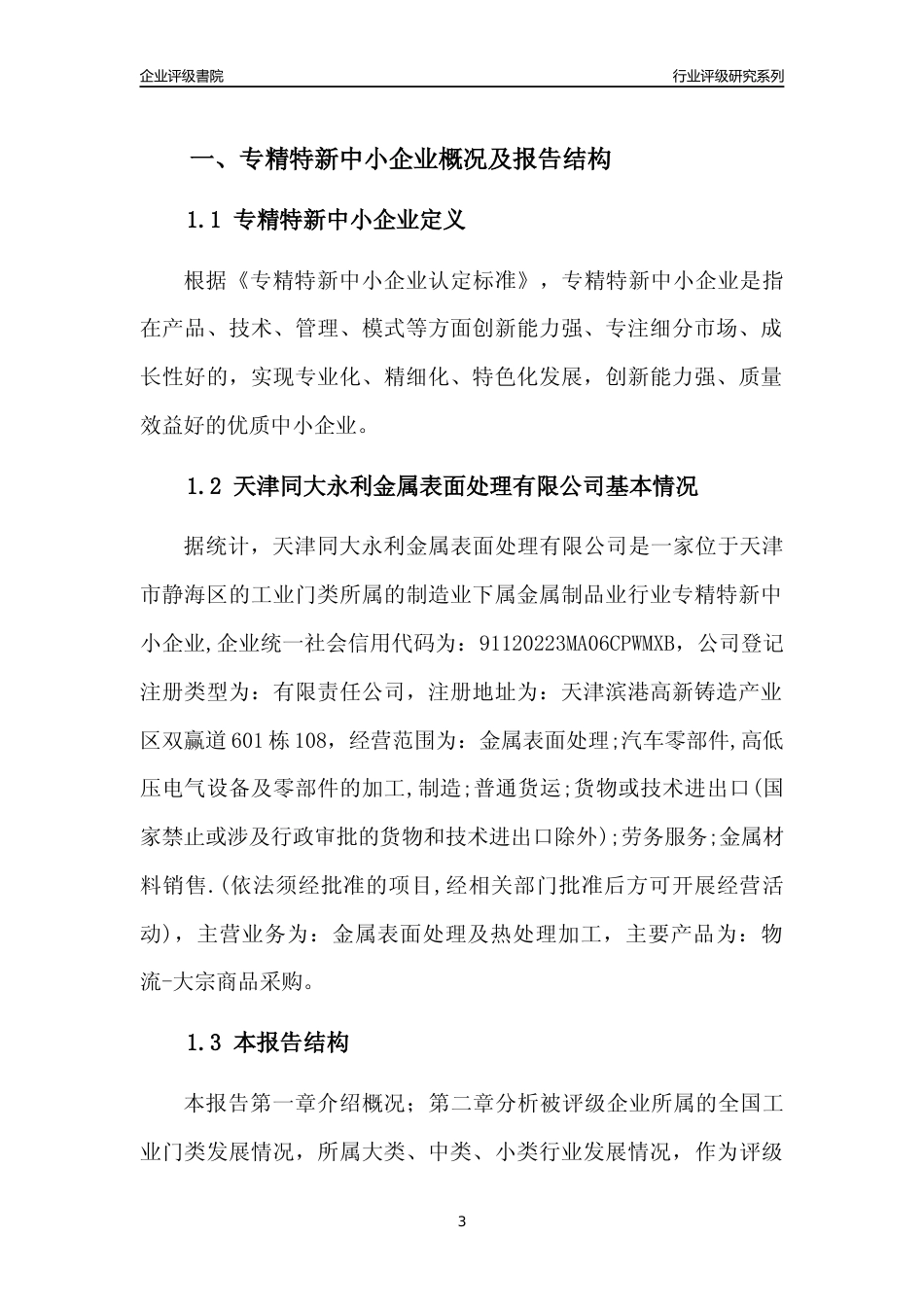 [专精特新]天津同大永利金属表面处理有限公司行业竞争力评级分析报告(2023版)_第3页