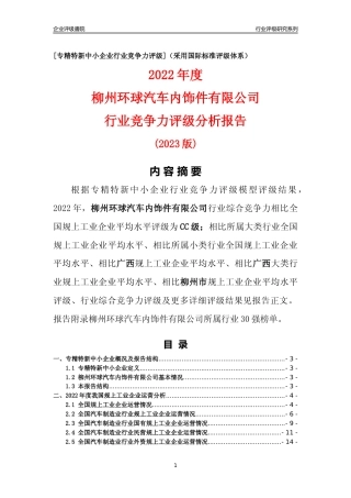 [专精特新]柳州环球汽车内饰件有限公司行业竞争力评级分析报告(2023版)
