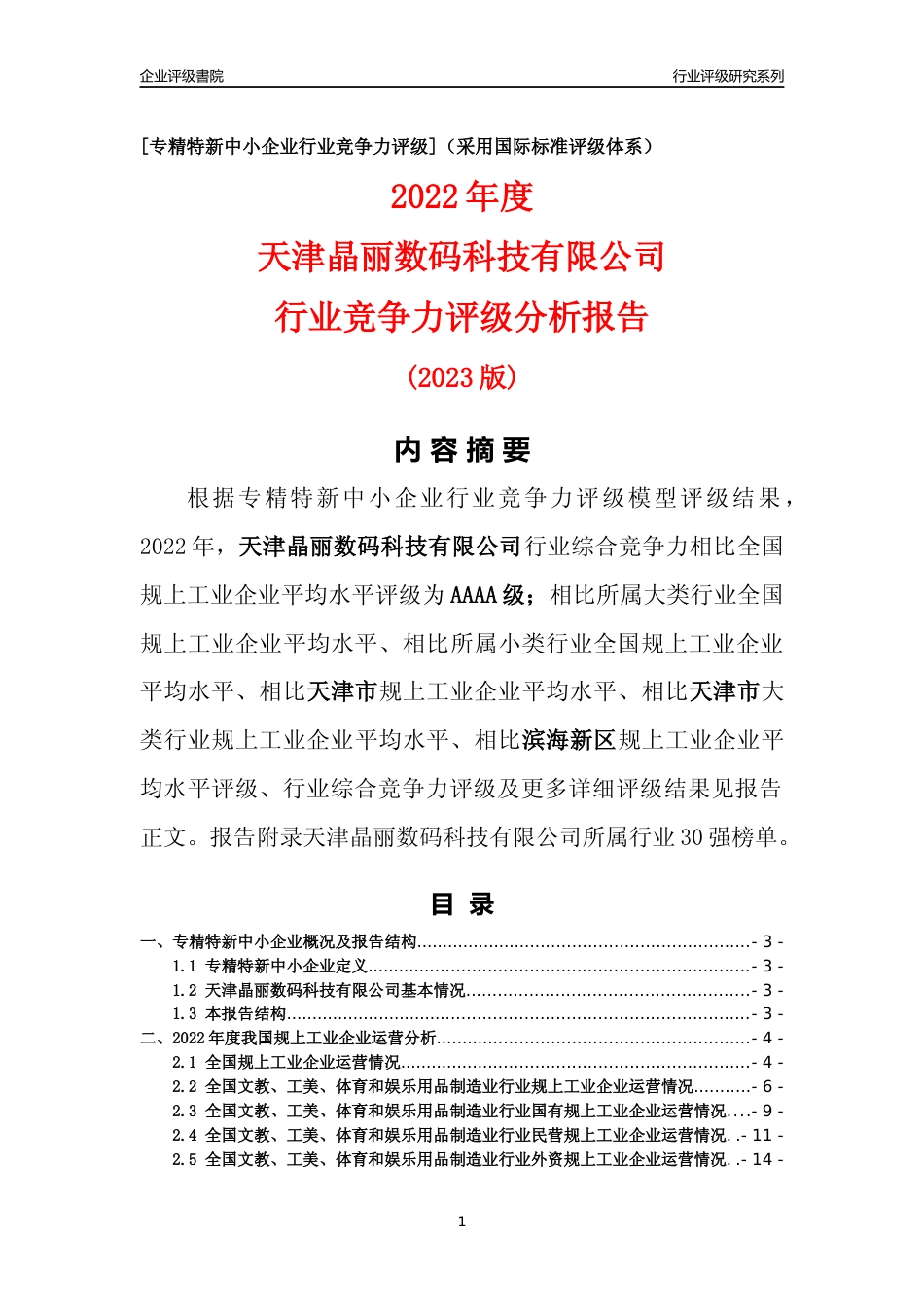[专精特新]天津晶丽数码科技有限公司行业竞争力评级分析报告(2023版)_第1页