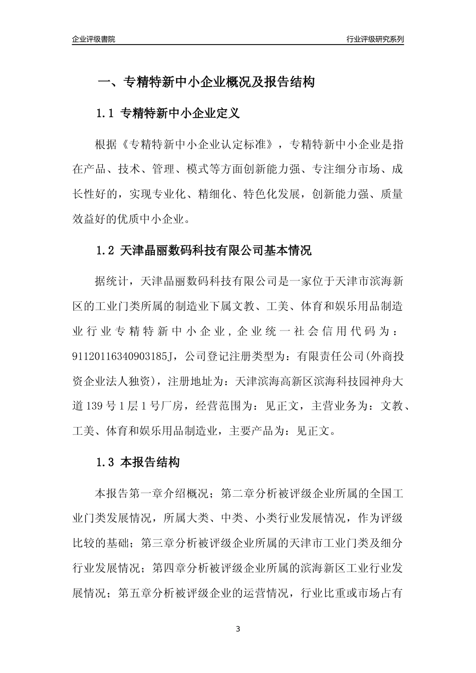 [专精特新]天津晶丽数码科技有限公司行业竞争力评级分析报告(2023版)_第3页