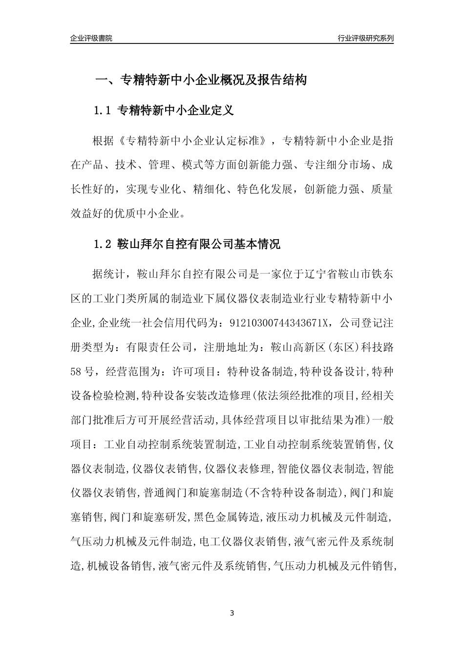 [专精特新]鞍山拜尔自控有限公司行业竞争力评级分析报告(2023版)_第3页